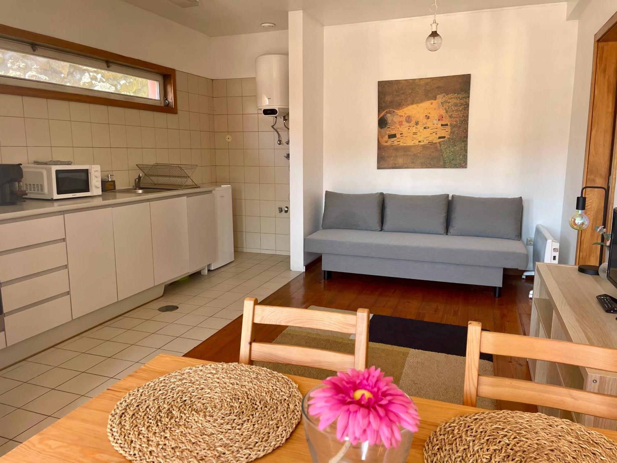 Douro River Charming Flats 波尔图 外观 照片
